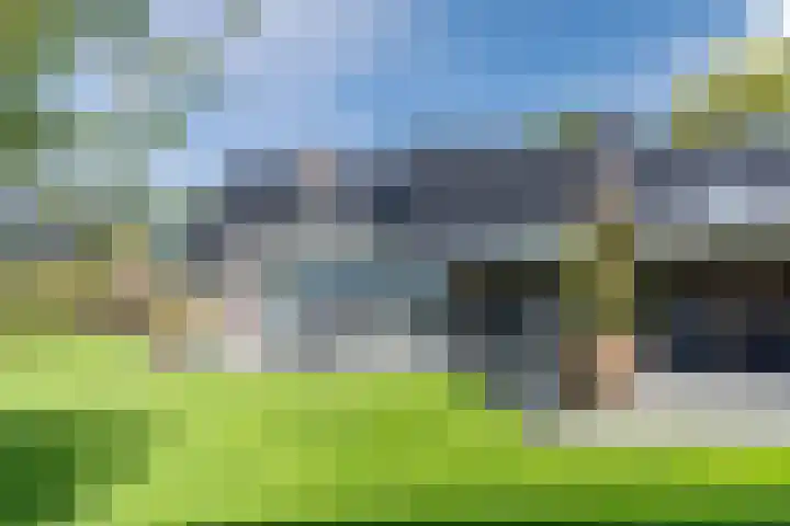 Jan Wintersdijkje 50 Hollandscheveld thumbnail 64