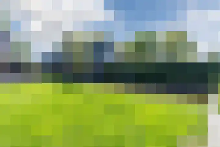 Jan Wintersdijkje 50 Hollandscheveld thumbnail 65