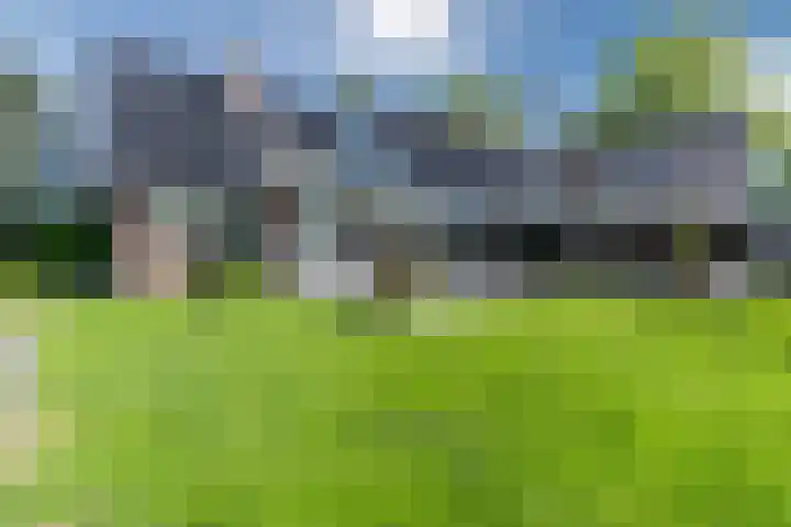 Jan Wintersdijkje 50 Hollandscheveld thumbnail 66