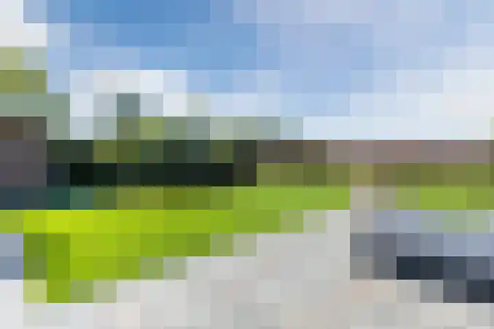 Jan Wintersdijkje 50 Hollandscheveld thumbnail 69