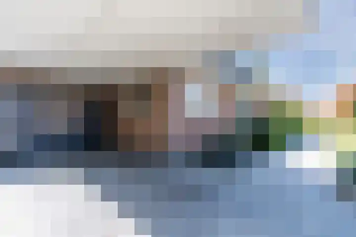 Jan Wintersdijkje 50 Hollandscheveld thumbnail 8