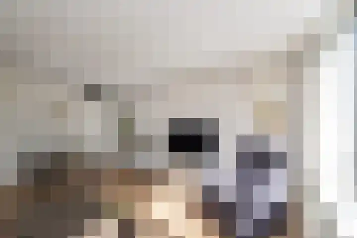 Jan Witheijnstraat 50 Amsterdam thumbnail 10