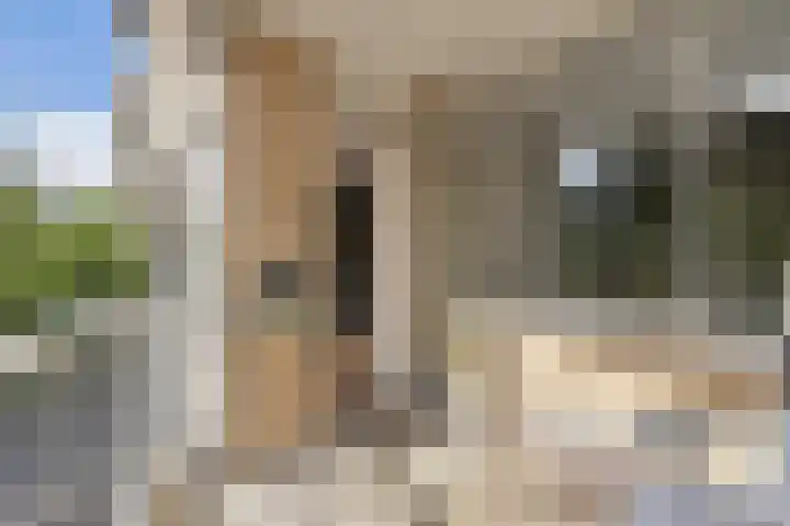 Jan Witheijnstraat 50 Amsterdam thumbnail 12