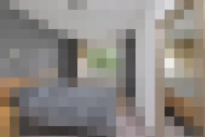 Jan Witheijnstraat 50 Amsterdam thumbnail 18