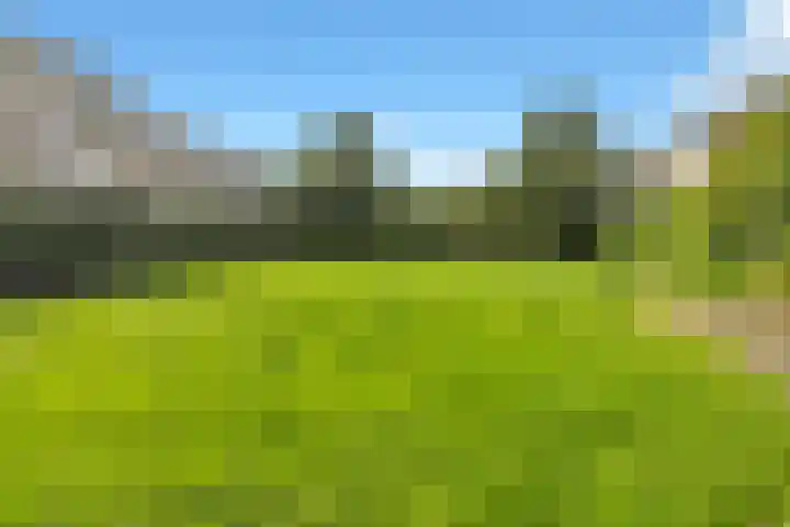 Jan Witheijnstraat 50 Amsterdam thumbnail 36