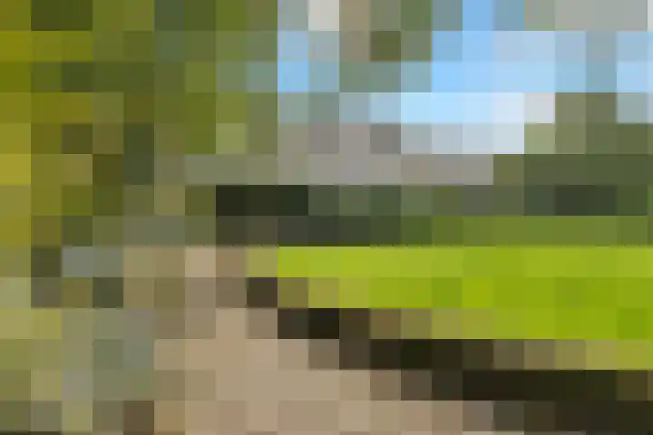 Jan Witheijnstraat 50 Amsterdam thumbnail 37