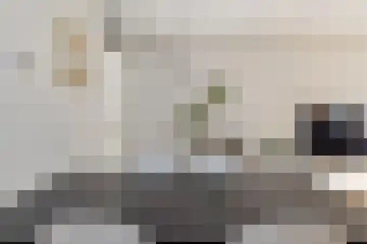 Jan Witheijnstraat 50 Amsterdam thumbnail 9