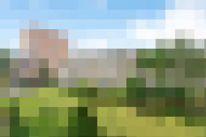 Jan Witheijnstraat 61 Amsterdam