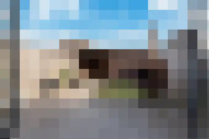 Jan Witloxstraat 14 Waalwijk thumbnail 21