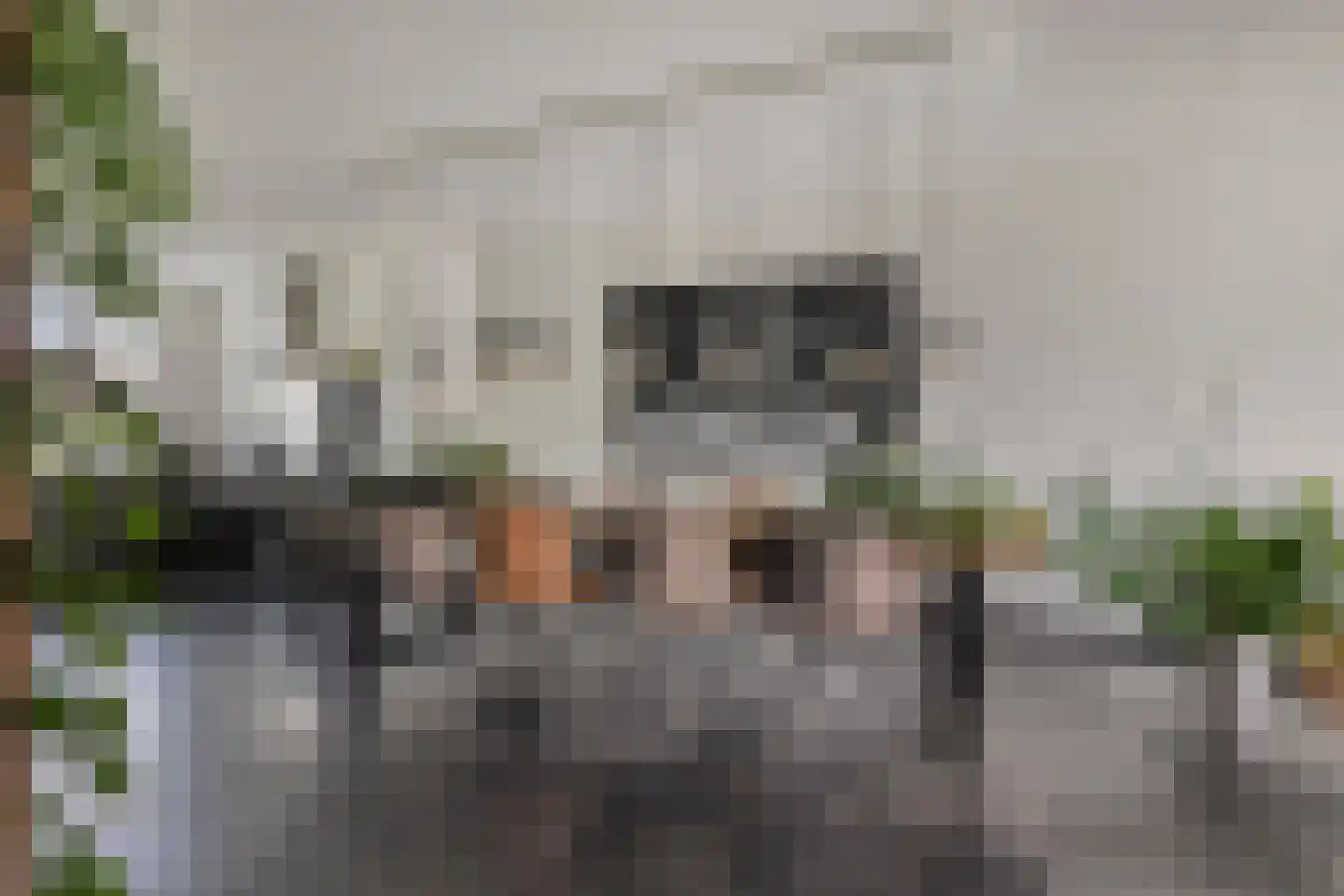 Jan Witloxstraat 24 Waalwijk thumbnail 12
