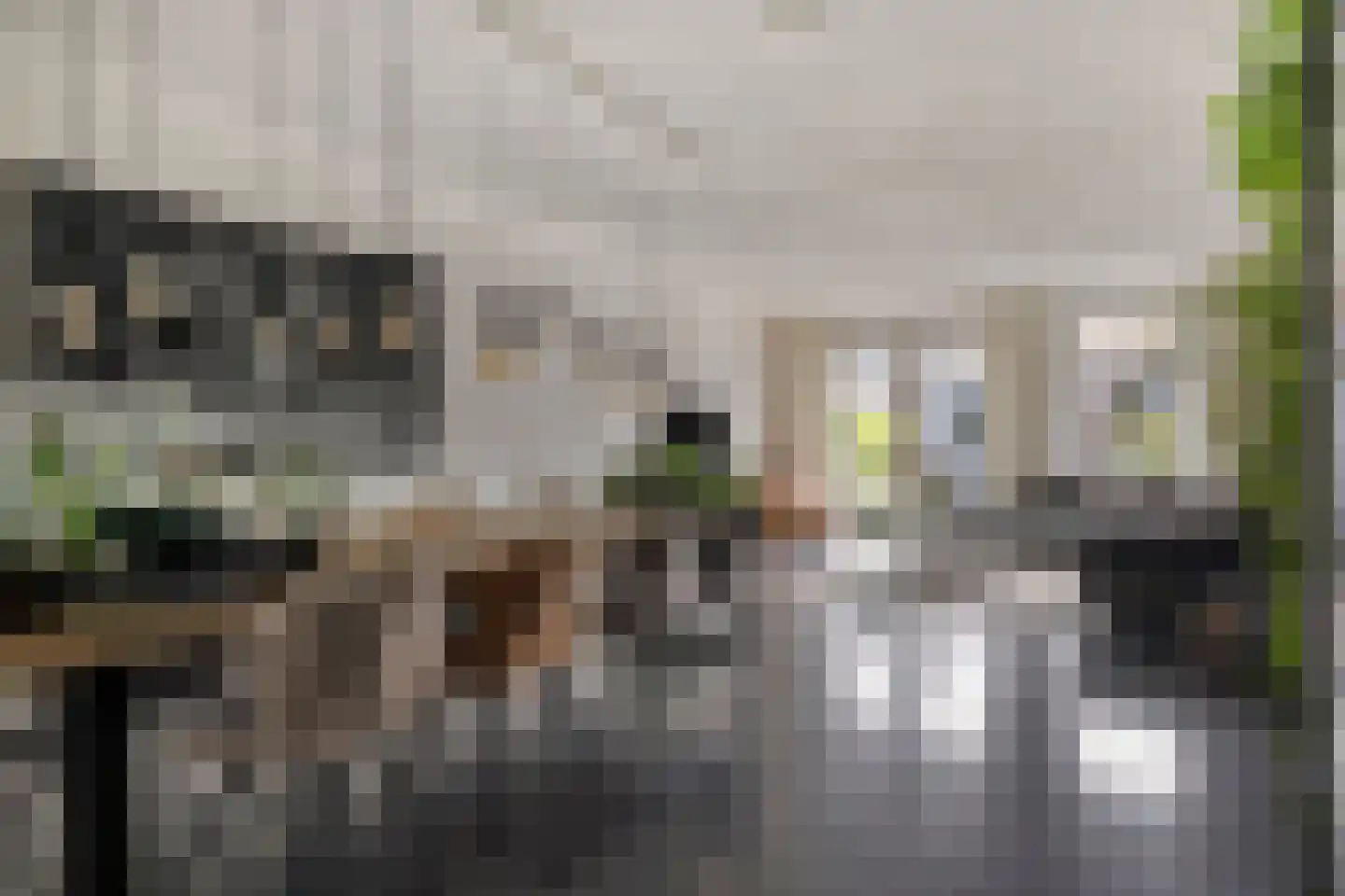 Jan Witloxstraat 24 Waalwijk thumbnail 13