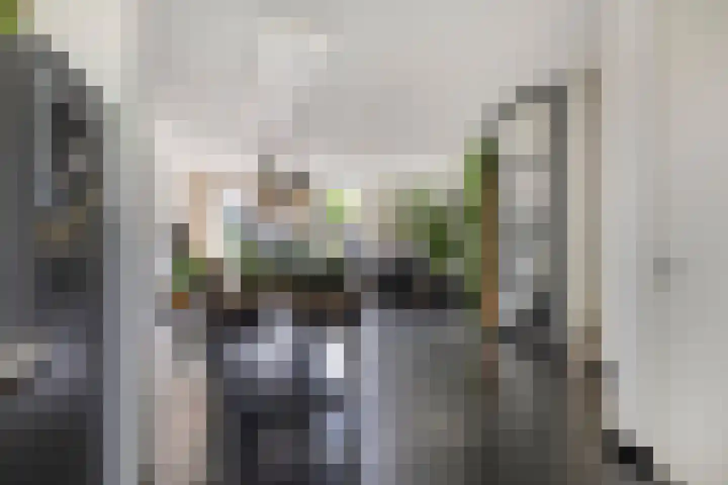 Jan Witloxstraat 24 Waalwijk thumbnail 14