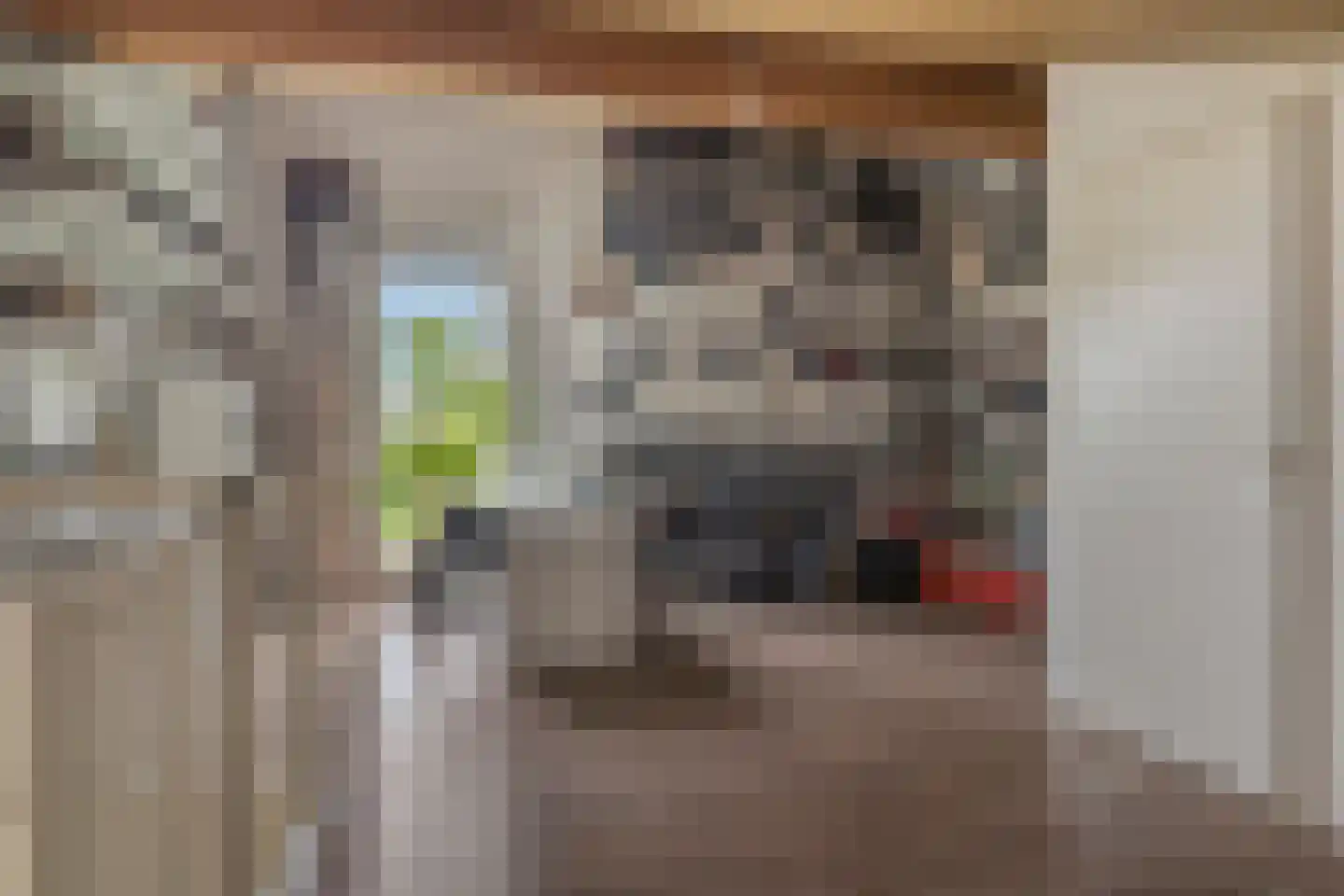 Jan Witloxstraat 24 Waalwijk thumbnail 31