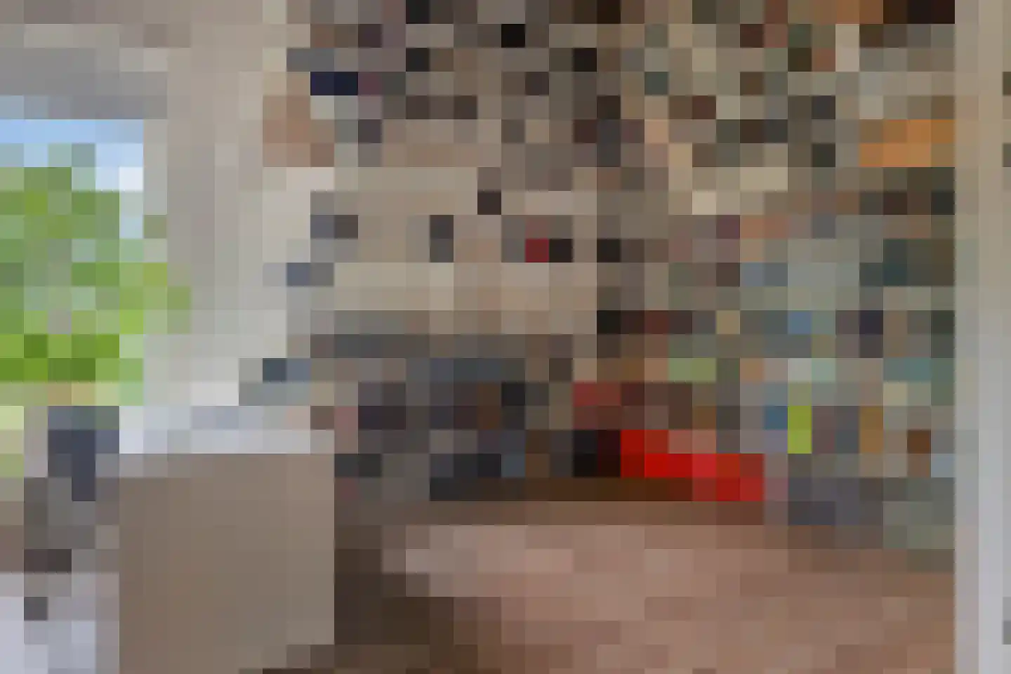 Jan Witloxstraat 24 Waalwijk thumbnail 32
