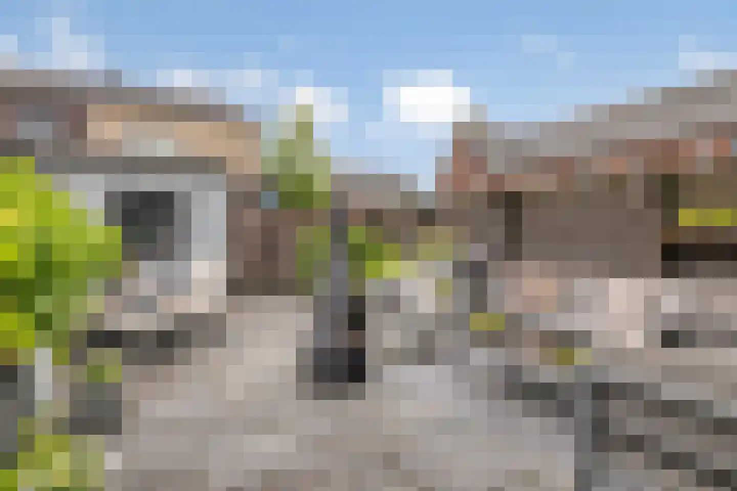 Jan Witloxstraat 24 Waalwijk thumbnail 35