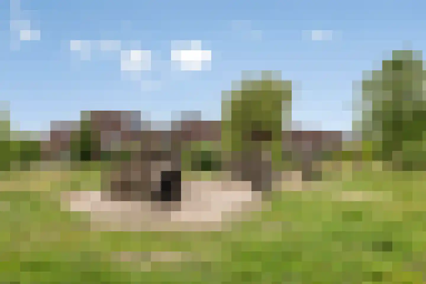 Jan Witloxstraat 24 Waalwijk thumbnail 4