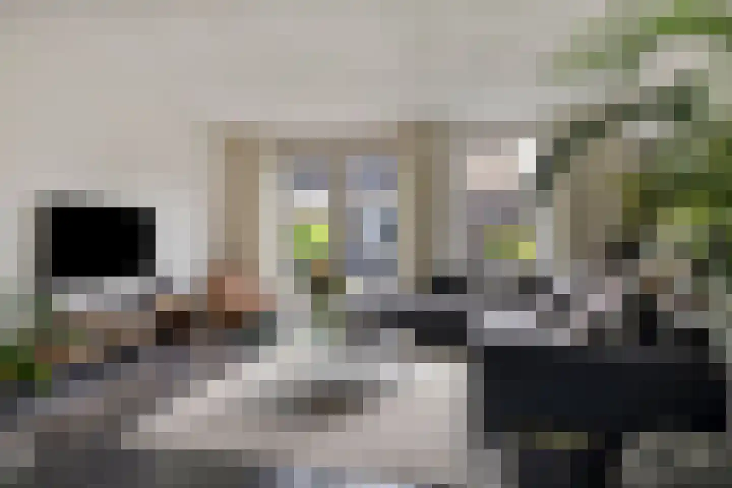 Jan Witloxstraat 24 Waalwijk thumbnail 8