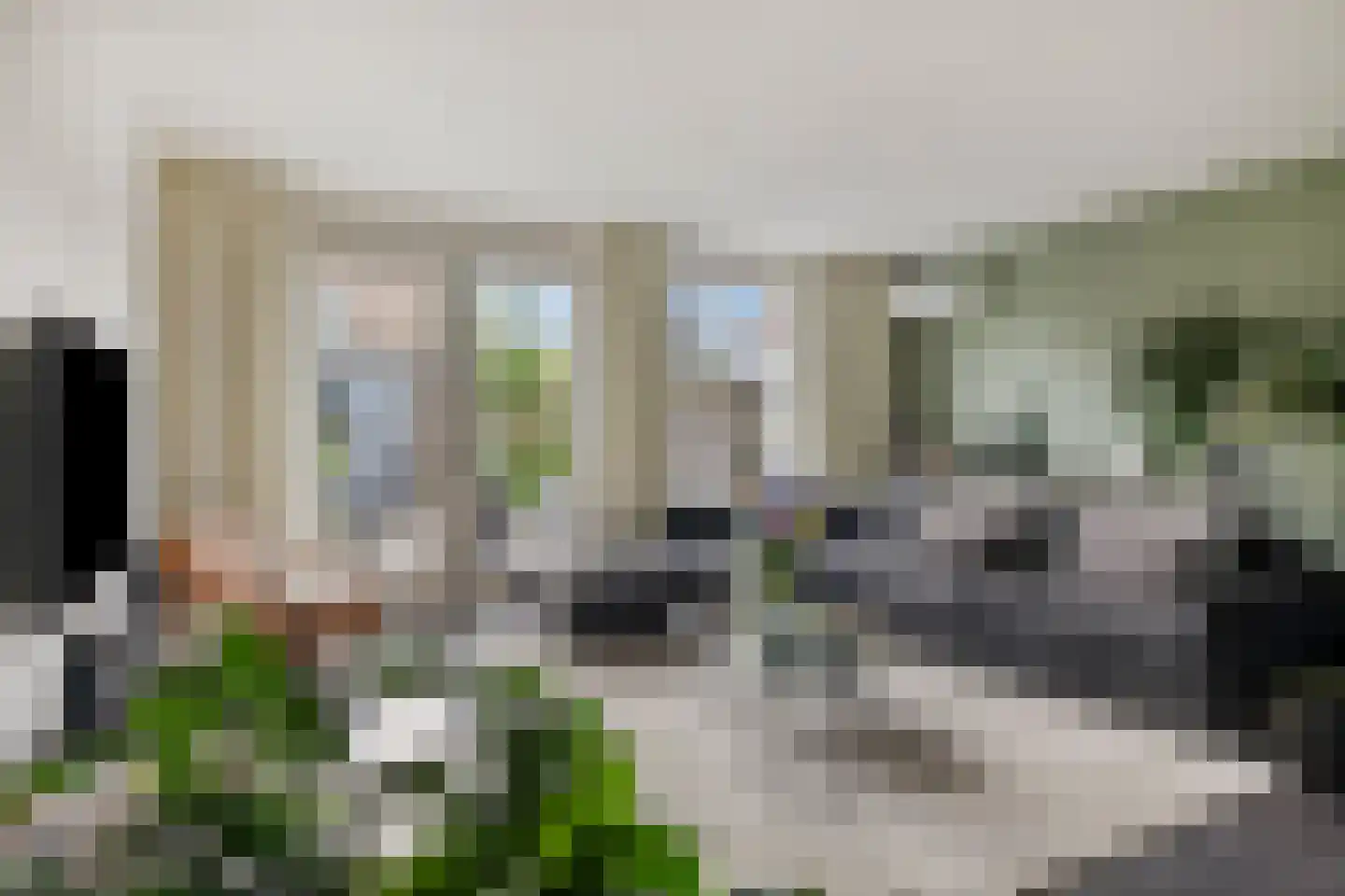 Jan Witloxstraat 24 Waalwijk thumbnail 9