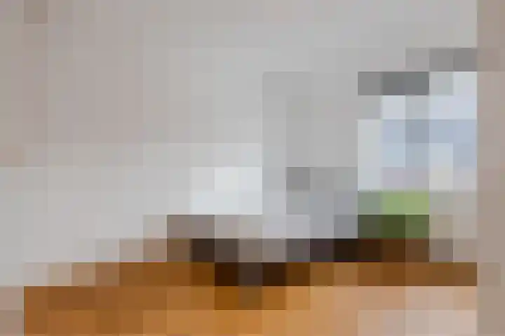 Jan Wolfspad 40 Hilvarenbeek thumbnail 21