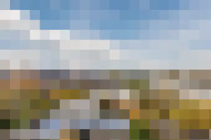 Jan Wolfspad 40 Hilvarenbeek thumbnail 36