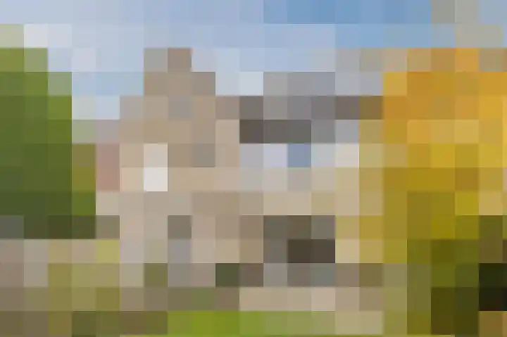 Jan Wolfspad 40 Hilvarenbeek thumbnail 38