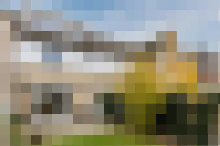 Jan Wolfspad 40 Hilvarenbeek thumbnail 39
