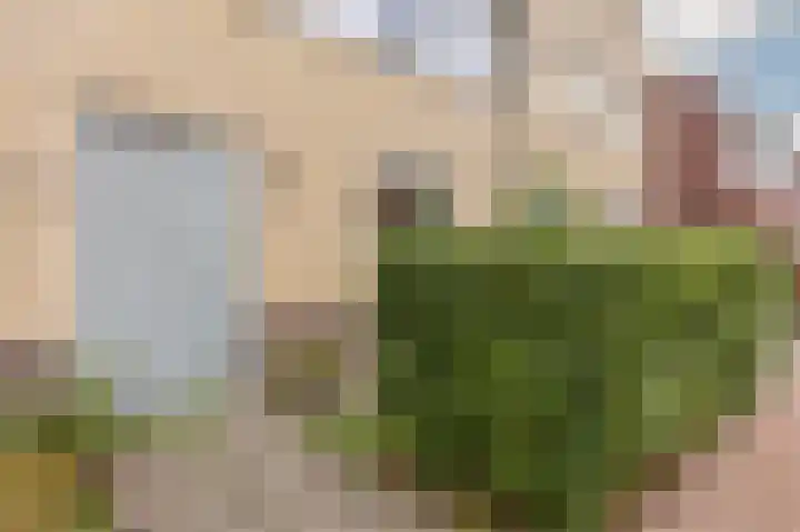 Jan Wolfspad 40 Hilvarenbeek thumbnail 44
