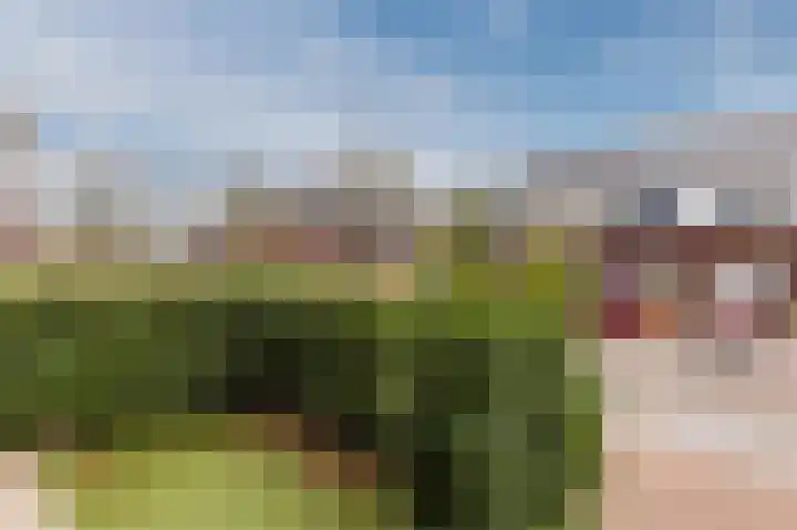 Jan Wolfspad 40 Hilvarenbeek thumbnail 45