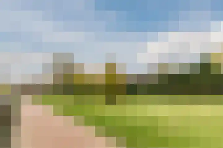 Jan Wolfspad 40 Hilvarenbeek thumbnail 48