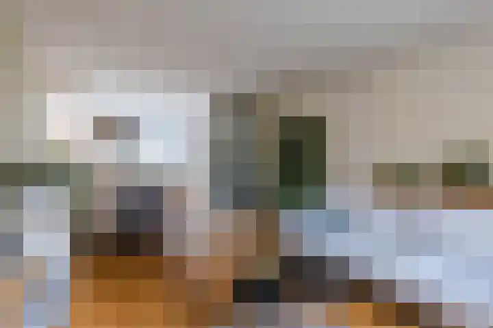 Jan Wolfspad 40 Hilvarenbeek thumbnail 6