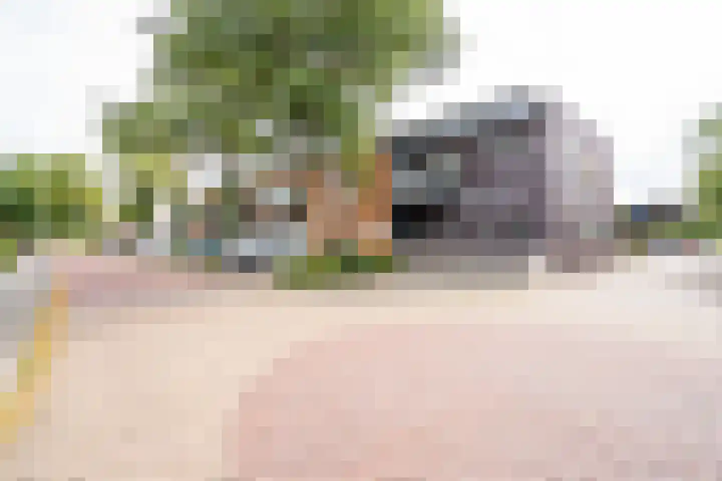 Jan Wolkershof 14 Culemborg thumbnail 20