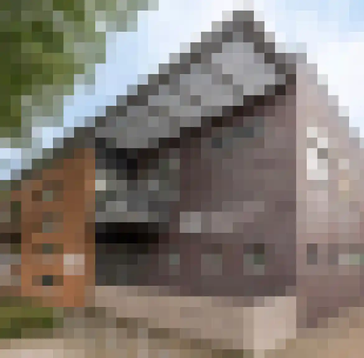 Jan Wolkershof 4 in Culemborg
