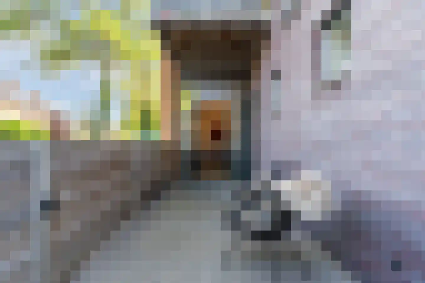 Jan Wolkershof 4 Culemborg thumbnail 32