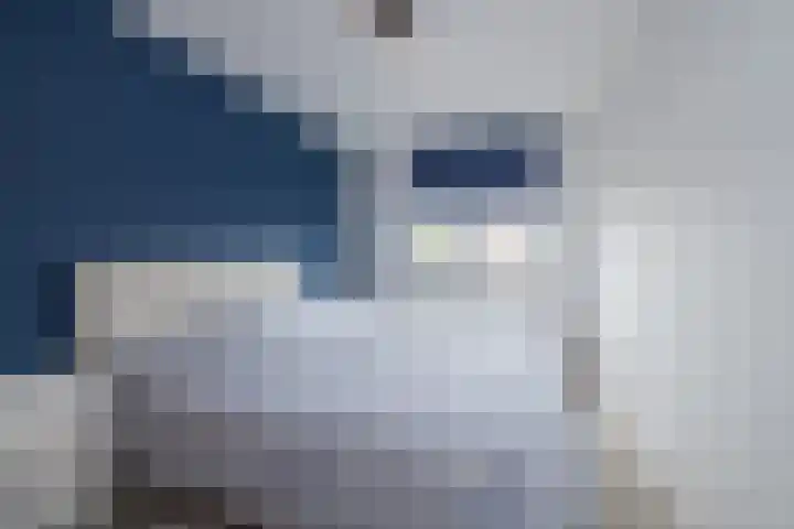 Jan Wolkerslaan 11 Oegstgeest thumbnail 27