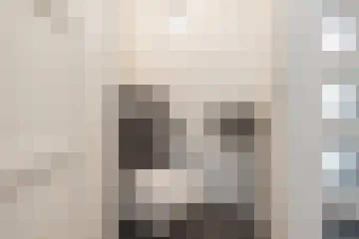 Jan Wolkerslaan 11 Oegstgeest thumbnail 6