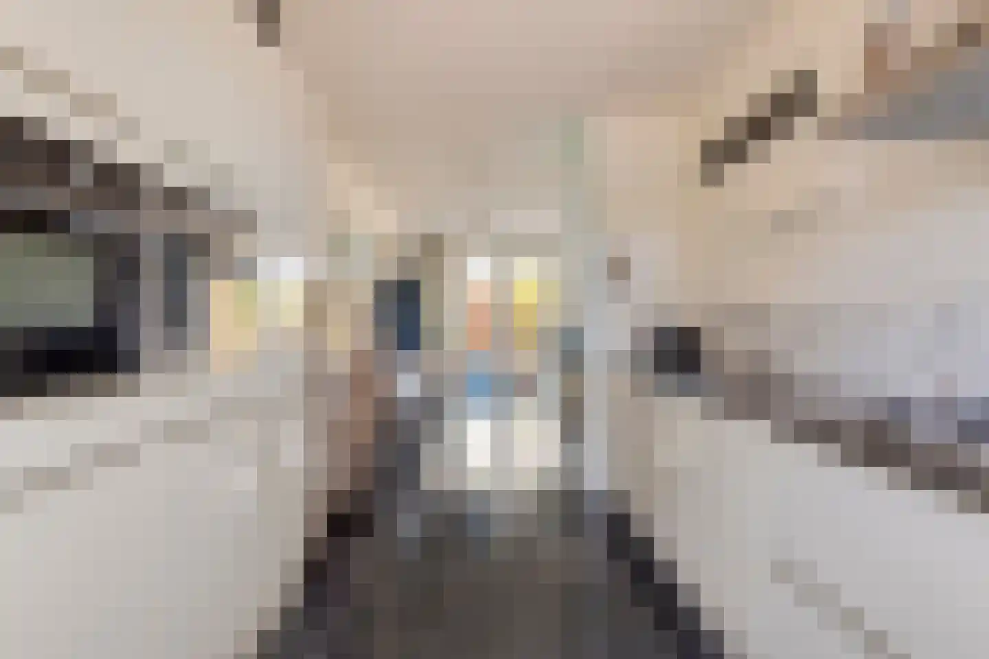 Jan Wolkerslaan 15 Kloetinge thumbnail 15