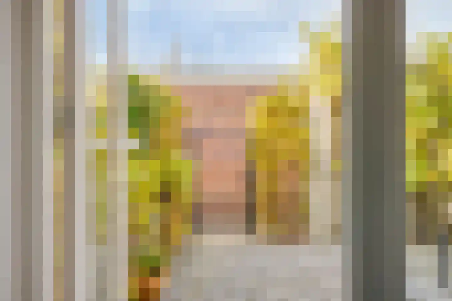 Jan Wolkerslaan 15 Kloetinge thumbnail 16