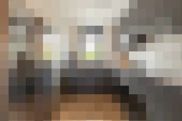 Jan Wolkerslaan 15 Oegstgeest thumbnail 14