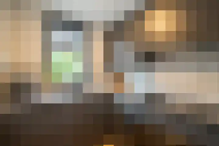 Jan Wolkerslaan 15 Oegstgeest thumbnail 15