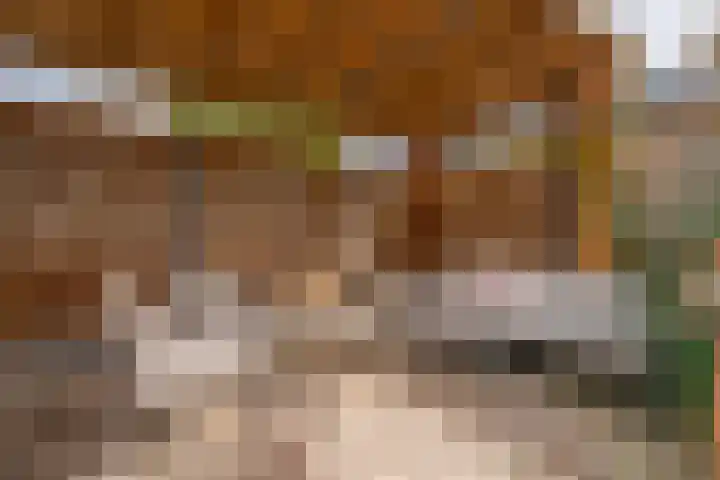 Jan Wolkerslaan 15 Oegstgeest thumbnail 36