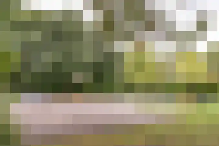 Jan Wolkerslaan 15 Oegstgeest thumbnail 61