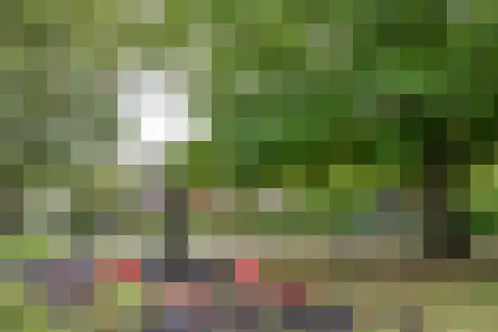 Jan Wolkerslaan 15 Oegstgeest thumbnail 62
