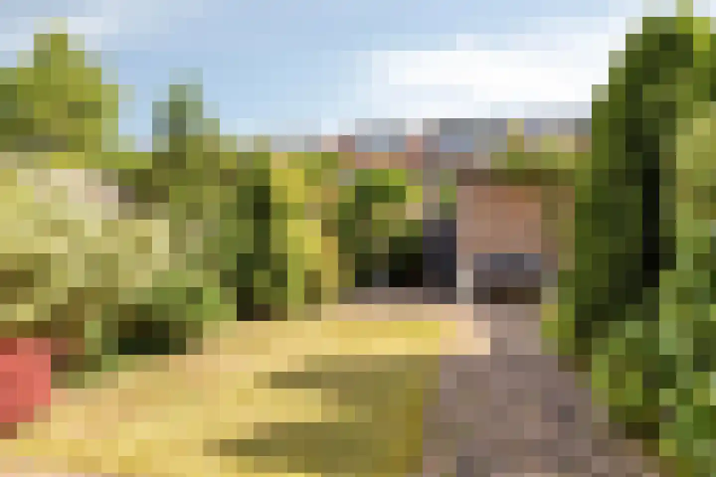 Jan Wolkerslaan 33 Oegstgeest thumbnail 13