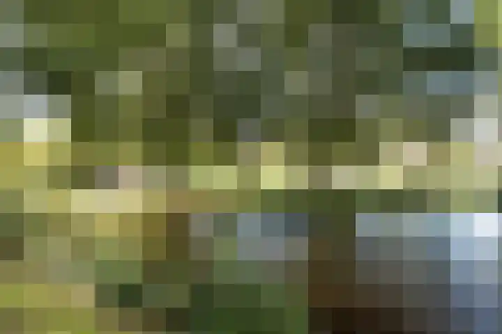 Jan Wolkerslaan 65 Oegstgeest thumbnail 44