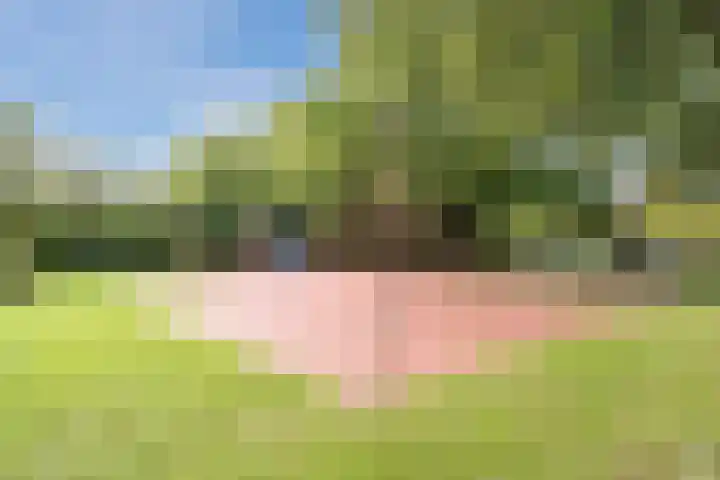 Jan Wolkerslaan 65 Oegstgeest thumbnail 45