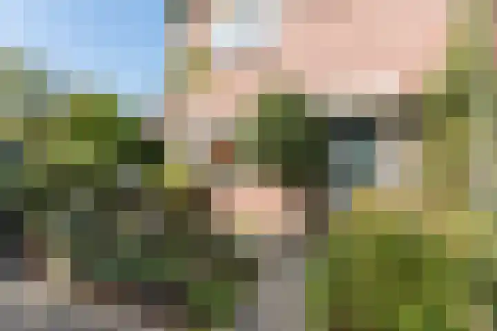 Jan Wolkerslaan 65 Oegstgeest thumbnail 6