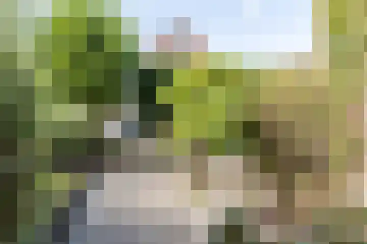 Jan Wolkerslaan 65 Oegstgeest thumbnail 7
