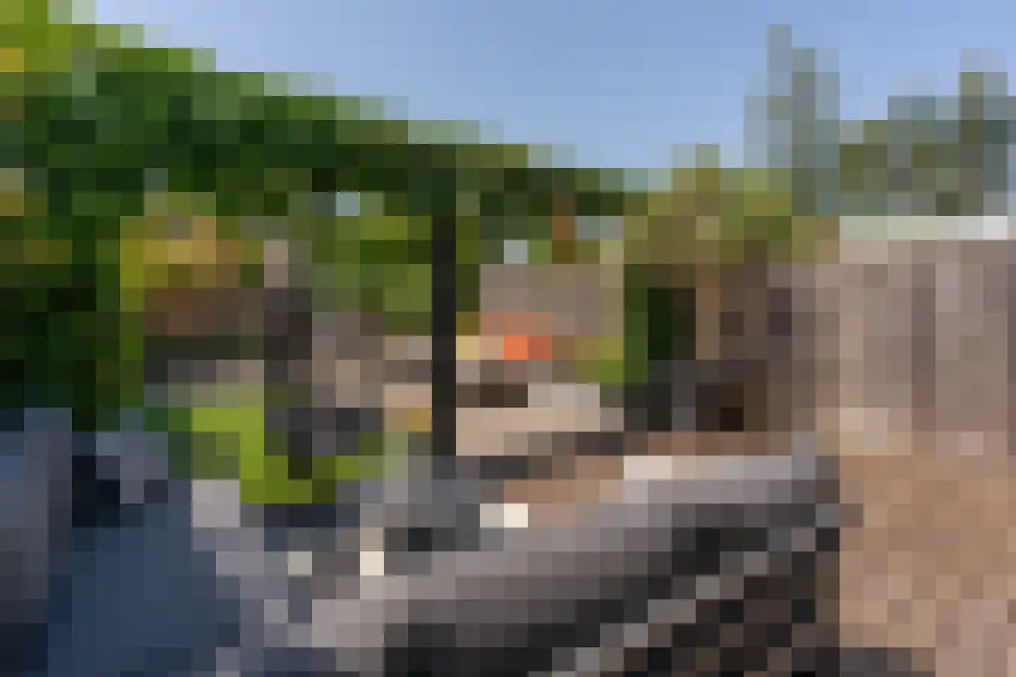 Jan Wolkerssingel 143 Utrecht thumbnail 30