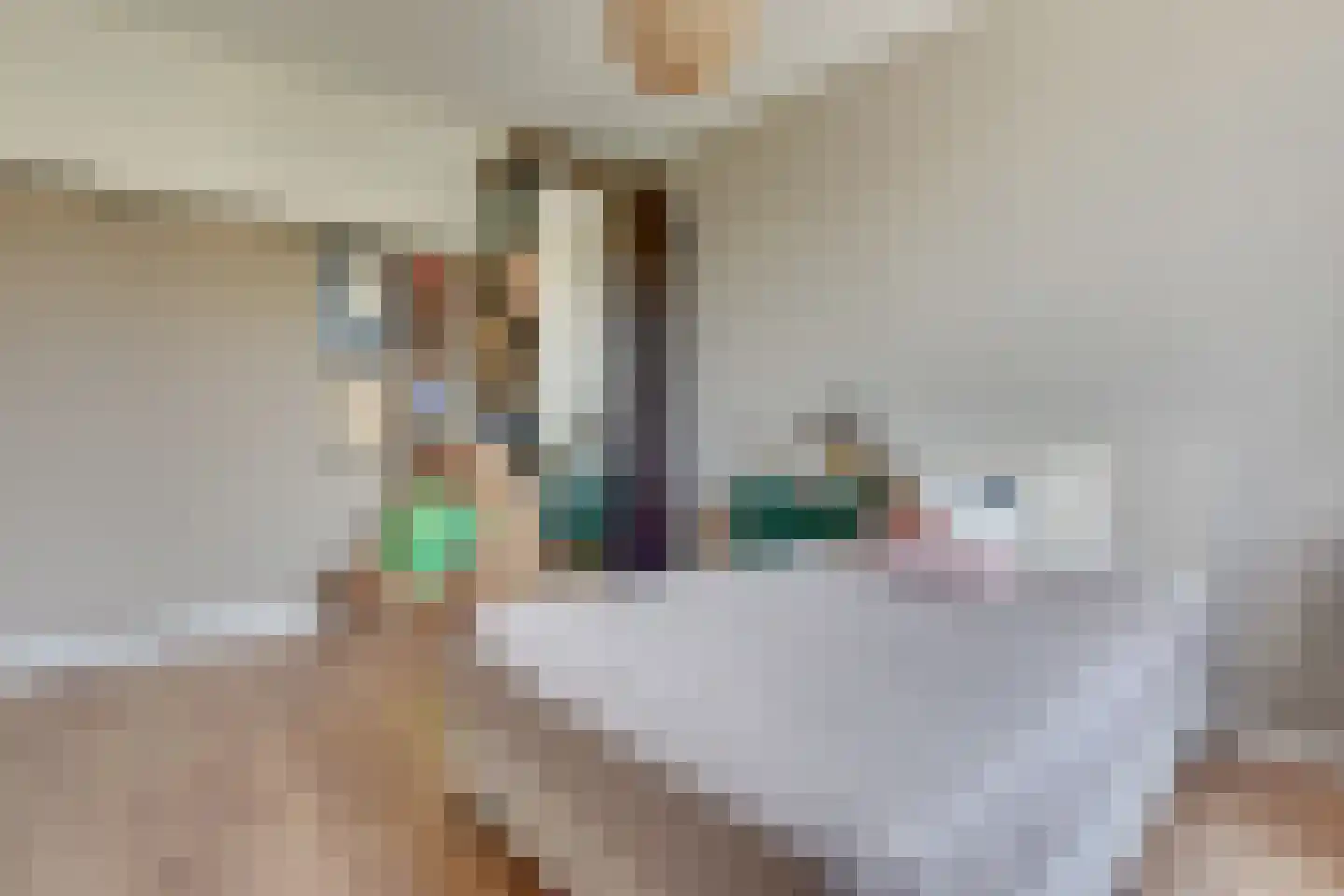 Jan Wolkerssingel 143 Utrecht thumbnail 56
