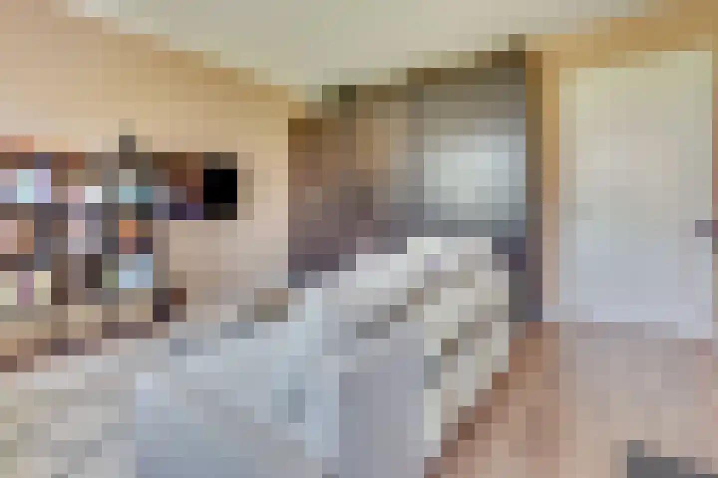Jan Wolkerssingel 143 Utrecht thumbnail 63